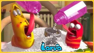 Larva Tuba | BÉO PHÌ - ẤU TRÙNG TINH NGHỊCH - NHỮNG CHÚ SÂU VUI NHỘN - PHIM HOẠT HÌNH HAY NHẤT 2020