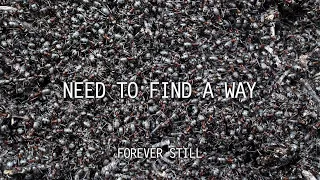 Forever Still | Find a Way teaser (Demo Club #5)