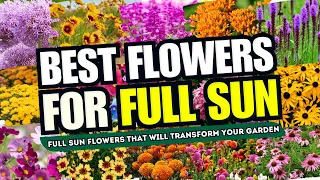 😍 Top 25 FULL SUN Flowers That Will TRANSFORM Your Garden! 🌞 The SUNNY SIDE of Gardening ✨