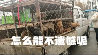 怎么能不遗憾呢…空有一颗所谓的怜悯之心！却什么也做不了……