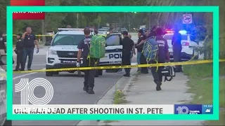 Police: Man shot, killed in his driveway in St. Pete