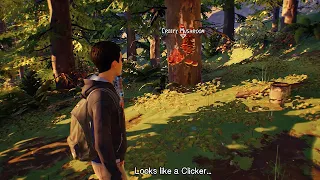 Life Is Strange The Last Of Us Easter egg