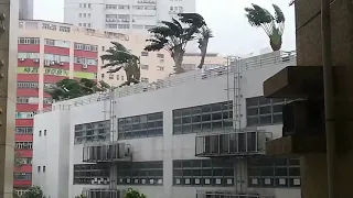 Typhoon Mangkhut (#山竹) effects in Hong Kong | 2018 9 16