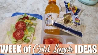 Cold Lunch Ideas for Work or School | On the Go Lunches | March 2020