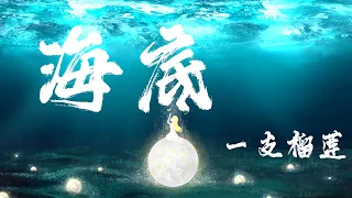 海底 - 一支榴蓮『總愛對涼薄的人扯著笑臉，岸上人們臉上都掛著無關』【動態歌詞】