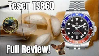 Tesen TS860 GMT Watch Review