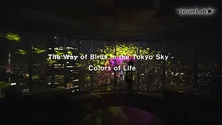 The Way of Birds in the Tokyo Sky - Colors of Life