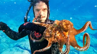 I Tried to KILL this Octopus... then THIS Happened!