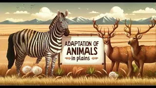 Adaptation of animals in plains | adaptation | adaptation of animals