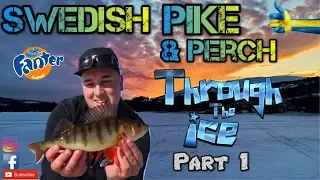 Part 1 - Swedish Pike & Perch Through the Ice Part 1- 2019