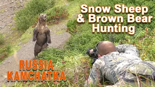 Snow Sheep & Brown Bear Hunting In Kamtchatka // Chasse au Nivicola & Our Brun au Kamtchatka // 2020