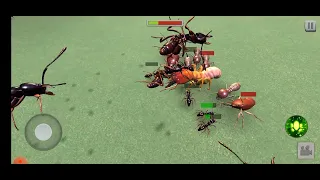 Termites VS Ants 1