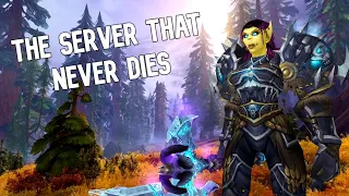 Should You Play On Warmane's Icecrown Server?