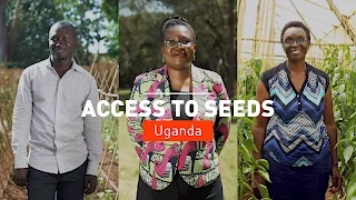 Making Agribusiness Work for Development: Access to Seeds Uganda