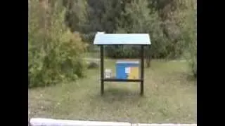 Ukrainian Chest Bee Hive - Prokopovych Bee Museum In Kiev, Ukraine