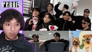 BTS Episode 'Proof' Music Show Promotions Sketch - Reaction