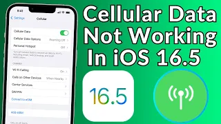 How To Fix Cellular Data Not Working Issue On iPhone 14, 14 Pro, 14 Pro Max In iOS 16.5