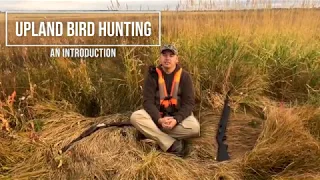 An Intro to Upland Bird Hunting