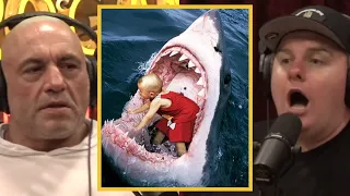 JRE: The Sharks Will EAT Us!