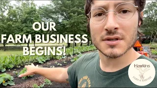 Profitable Farm In First Growing Season!? - May Homestead Update