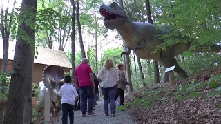 Dino Parc Rasnov - muzeul dinozaurilor