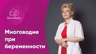 Многоводие при беременности. Елена Никологорская. Акушер-гинеколог. СПб