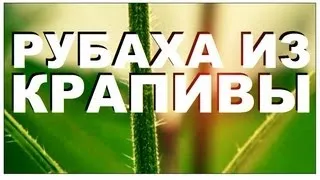 Галилео. Рубаха из крапивы