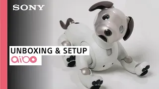 aibo ERS-1000 Unboxing and Setup | Sony