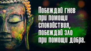 Гаутама Будда - Доброжелательность ко всем существам — вот истинная религиозность.