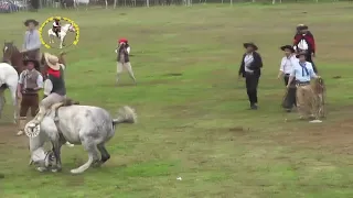 El Torpe de Espindola con Diego Vergara