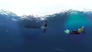 VR swim with sharks off the coast of Oahu