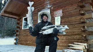 The Bite is ON in the Bitter Cold | Cabin Trip at 40 Below