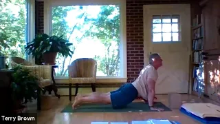 General Yoga Practice with Terry - April 27, 2020