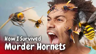 Being Stung by a Swarm of Murder Hornets