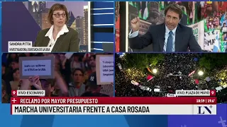 Marcha universitaria: la opinión de Sandra Pitta, investigadora del Conicet y egresada de la UBA