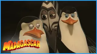 DreamWorks Madagascar | Sixty Nine Years? | Madagascar 3: Europe's Most Wanted | Kids Movies