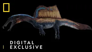 First Aquatic Dinosaur | 3D Spinosauraus Model | National Geographic UK