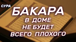 Аль Бакара сура - слушайте каждый день. Зашита от всего плохого.