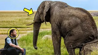 Crying Elephant Begs Man For Help. What Happened Next Will Melt Your Heart!