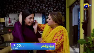 Pyari Nimmo Episode 27 Promo | Daily at 7:00 PM Only On @HarPalGeoOfficial
