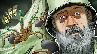 The Attack of J'ba Fofi - World's DEADLIEST Spider