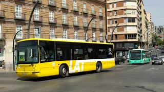 Circulación autobuses TMP (Murcia) Monbus Paseo Martínez Tornel - Murcia (Agosto 2022)