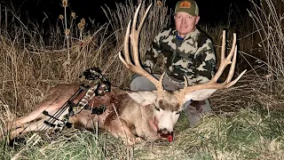 Utah Extended Archery. Hunting mule deer in the rut. One lucky day!