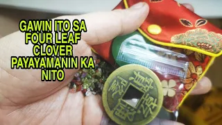 GAWIN ITO SA FOUR LEAF CLOVER PAYAYAMANIN KA NITO-APPLE PAGUIO7