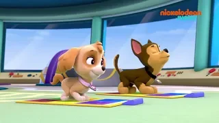 Paw Patrol : la Pat'Patrouille | Compilation Rescousse | NICKELODEON JUNIOR