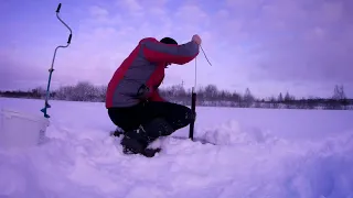 САМЫЙ ЛУЧШИЙ СПОСОБ НАЛОВИТЬ ЖИВЦА. Ловушка для ловли живца круглый год