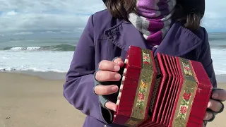 Wellerman Sea Shanty “Soon May The Wellerman Come” Vintage Scholer Anglo Concertina New Zealand folk