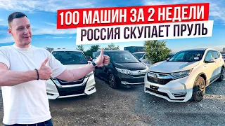 100 машин за 2 недели 😱Что с ценами на авто из Японии❓ Новый CR-V Гибрид❗️StepWagon❗️Serena