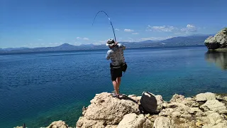 Shore Jigging Amberjack live strike