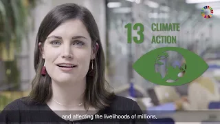 SDG 13: Climate Action
